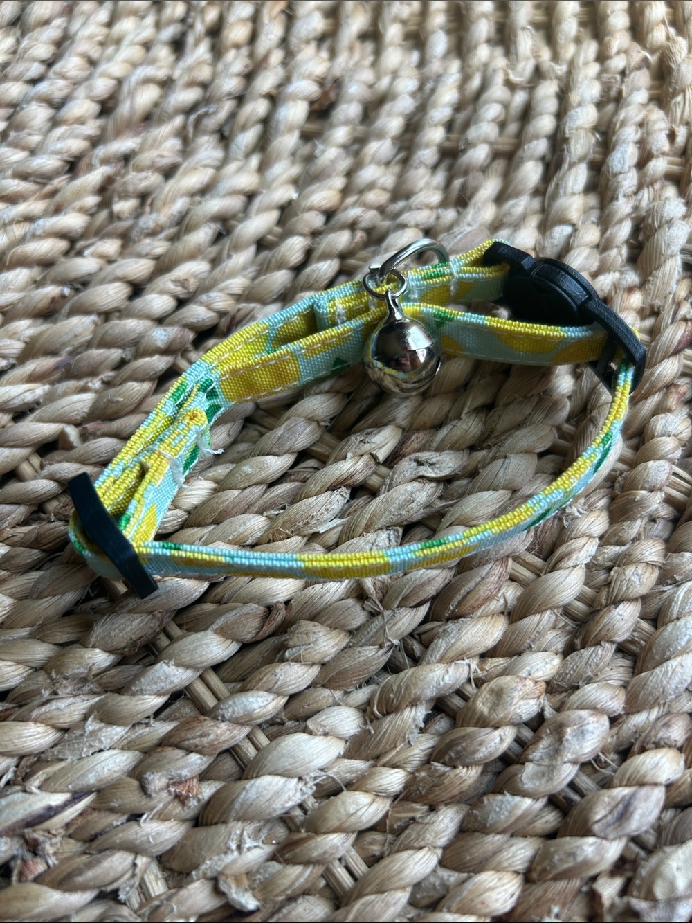Cat Collar with bow.